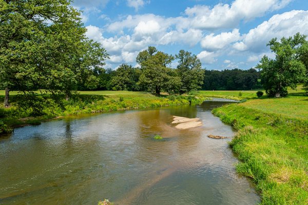 Découvrez le secret : trouvez les chaussures parfaites pour soulager les douleurs plantaires des seniors.