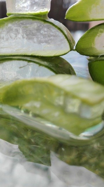 Les gels d'aloe vera à boire : bienfaits et saveurs à savourer